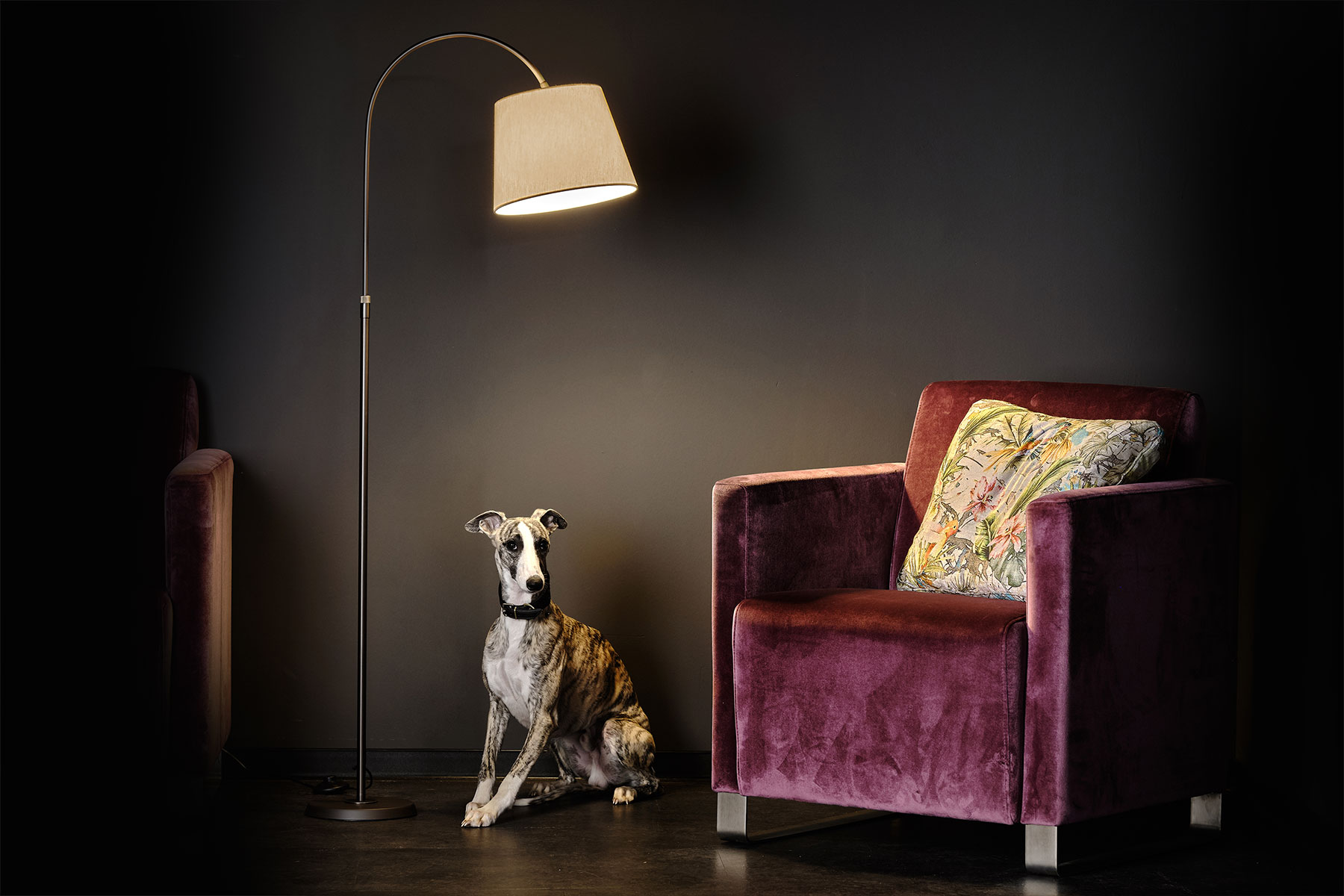 Exklusive Bogen-Leseleuchte/Boyleuchte mit Sessel