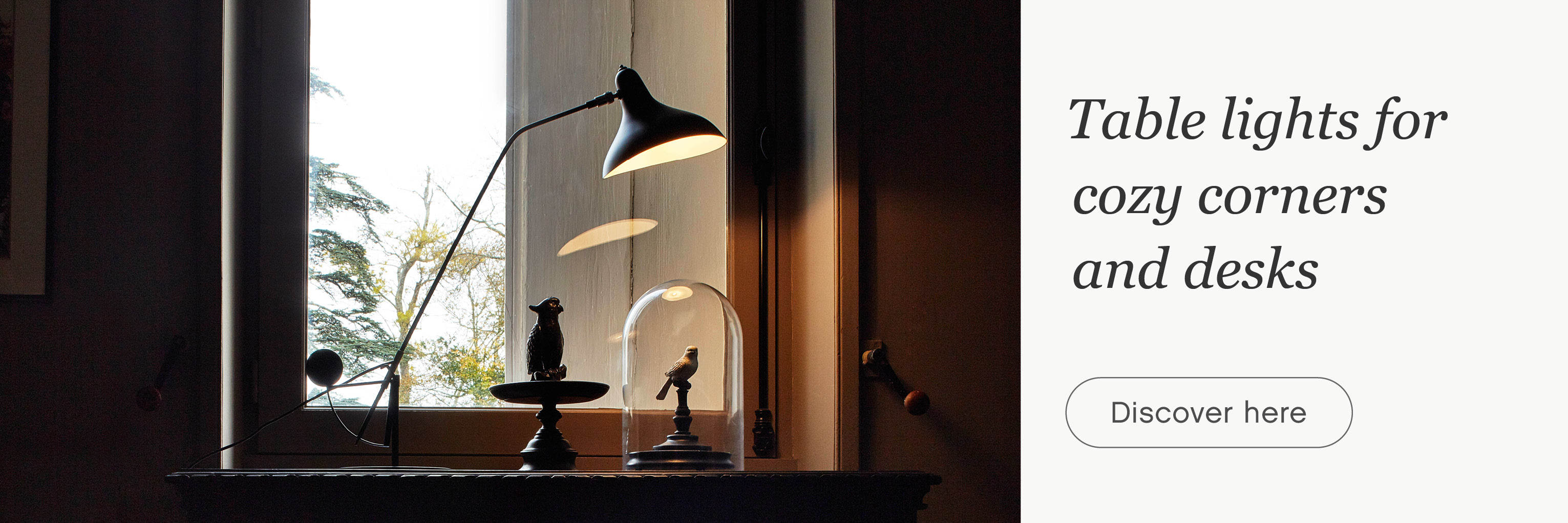 exclusive table desk light